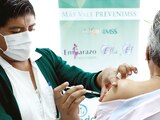 El pasado 12 de diciembre, el Instituto Mexicano del Seguro Social (IMSS) dio inicio a la jornada nacional de vacunación contra la Influenza.