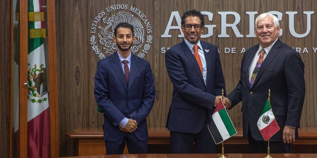 Anuncian que México será sede del primer Festival Internacional del Dátil.