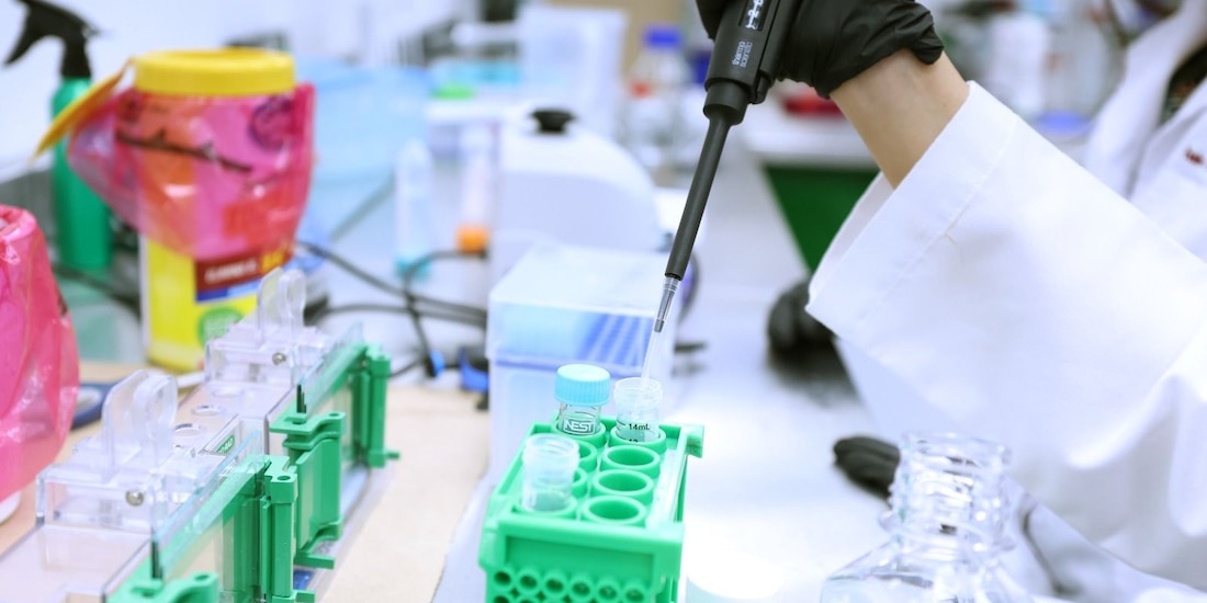 Especialistas han desarrollado vacunas experimentales contra enfermedades como Chikungunya.