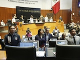 El pleno del Senado de la República