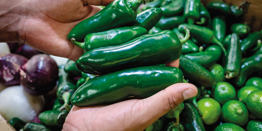 En el informe para descartar un brote de ‘diarrea explosiva’ en México, la Cofepris reportó que el 31 de julio se recibió una alerta de la FDA, sobre salmonelosis asociada a chiles nacionales.