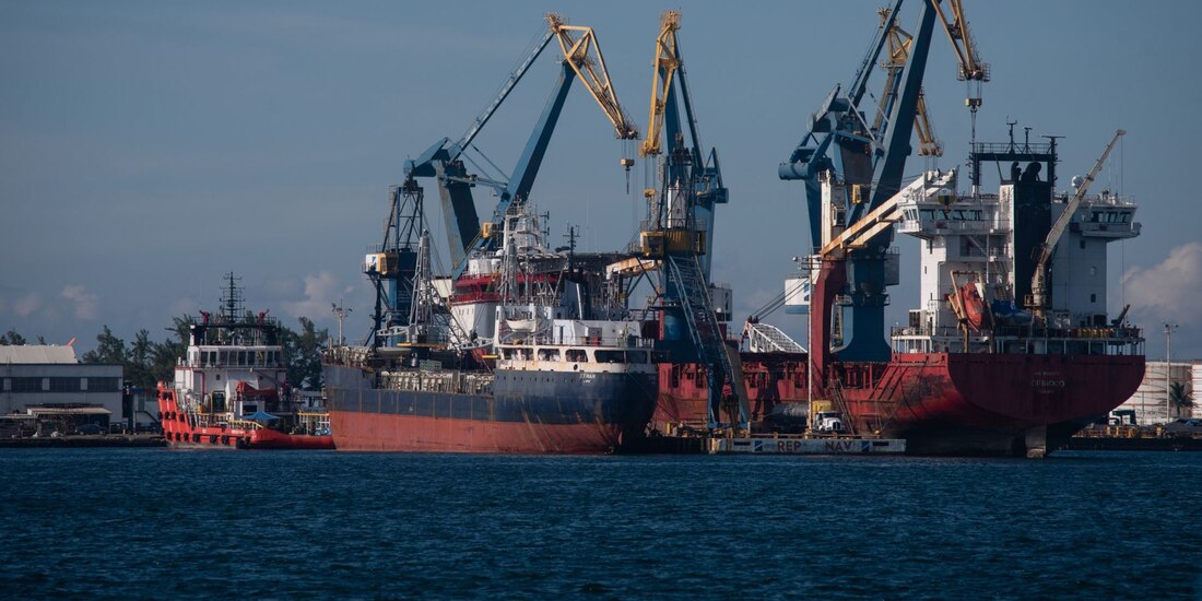 La Semar podrá regular, promover y organizar a la marina mercante, así como conceder las licencias y permisos para la explotación de servicios relacionados con comunicaciones y transportes por agua.