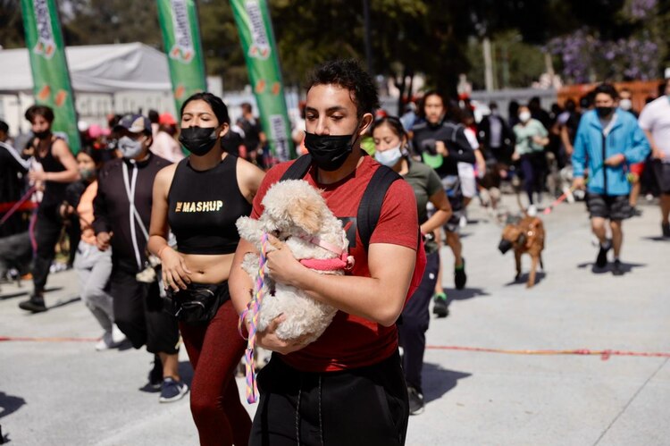 Maratón canino en Coyoacán