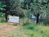 Localizan “otra versión” del rancho Izaguirre en Nayarit