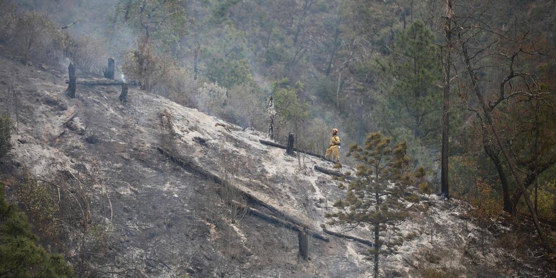 Al menos 12 personas murieron en el incidente vial registrado en la sierra de Santiago.