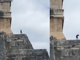 Lomito burla seguridad y sube a la pirámide de Chichen Itzá