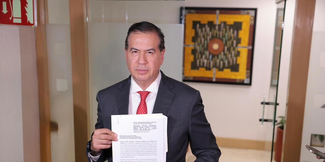 Ricardo Mejía Berdeja, diputado de PT
