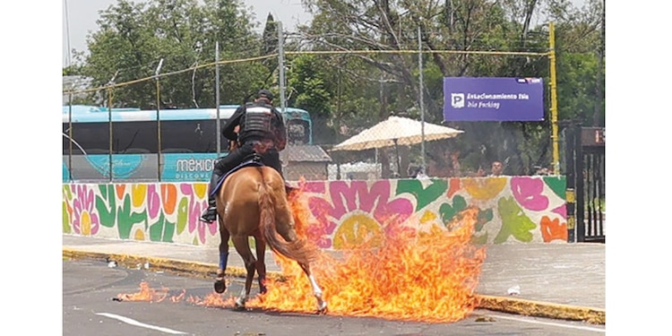 NI LOS CABALLOS se salvaron de los
ataques con petardos