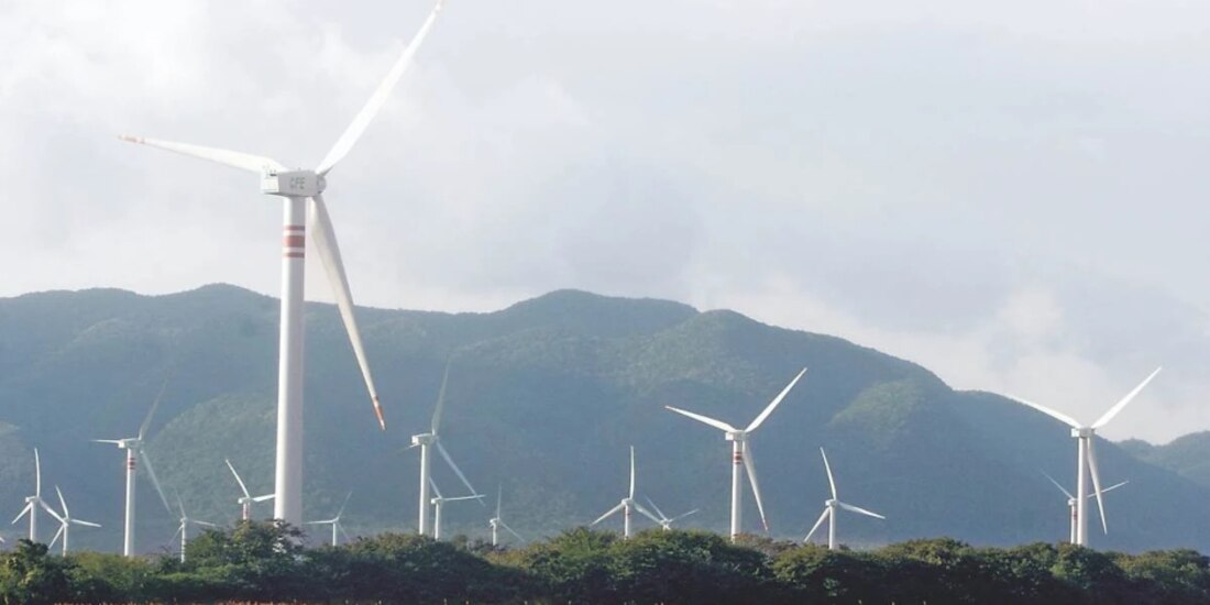 Aún se evalúan las medidas legales promovidas de manera individual por al menos 30 compañías.