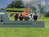 Semar destruye más de tres toneladas de droga