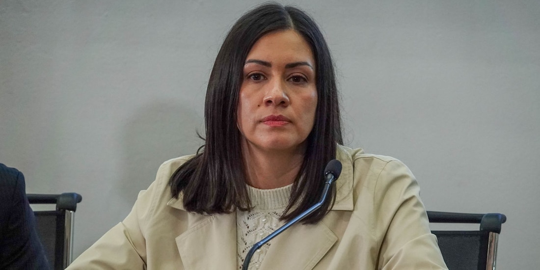 Blanca Cruz, presidenta provisional del INE