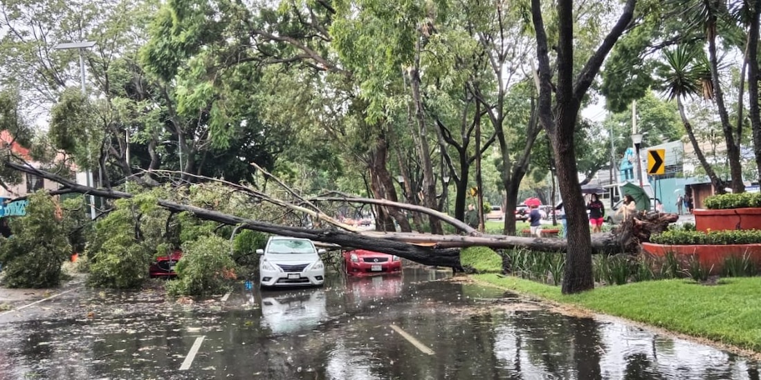 Algunas veces puede ocurrir la pérdida total del auto.