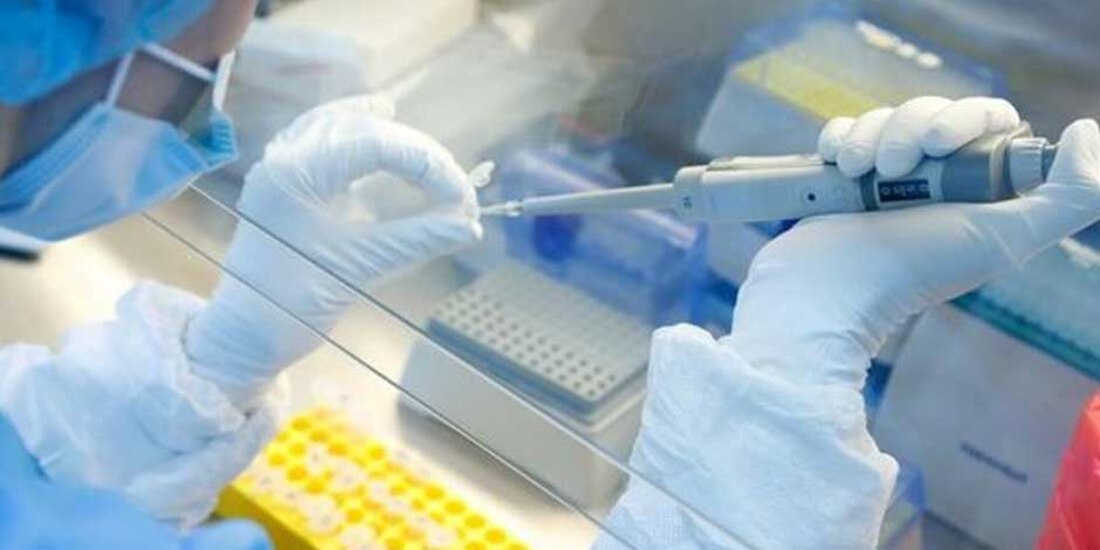 Imagen ilustrativa. Investigadores desarrollan una vacuna contra las 'células zombi' que estimulan el envejecimiento