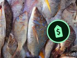 Como parte del operativo de vigilancia de precios, la Profeco dio a conocer una lista de precios de pescados y mariscos.