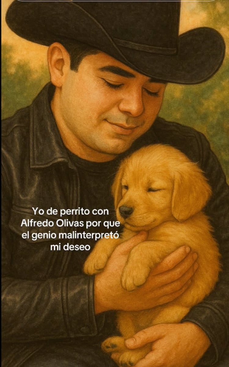 El genio malinterpretó mi deseo: Cómo hacer el MEME viral - La Razón de ...