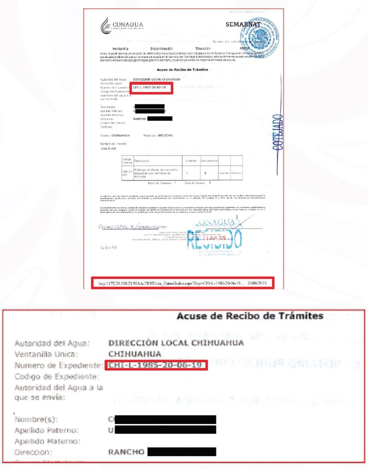 Las evidencias │ Ejemplos de presunta falsificación de títulos y falta de certeza en fechas de vencimiento.