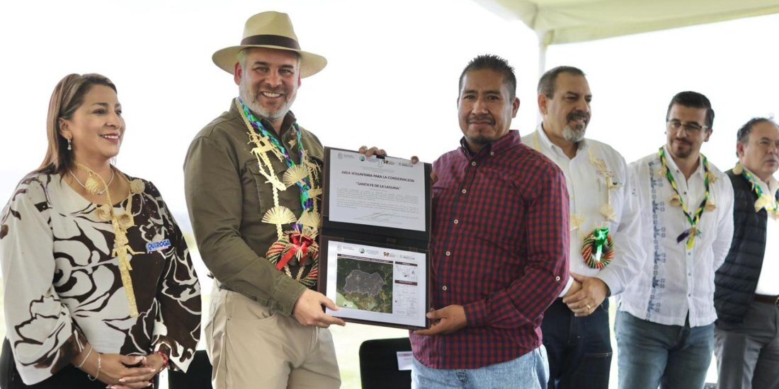 Comunidades indígenas de Michoacán ceden más de 8 mil hectáreas de bosque.