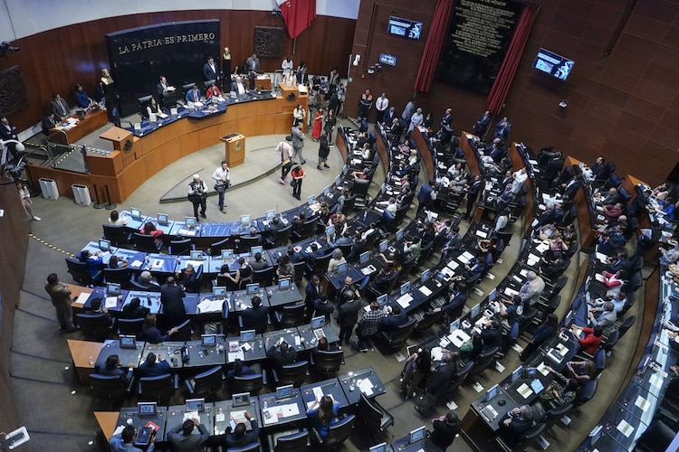 El pleno del Senado de la República, en una fotografía ilustrativa.