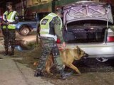 Un oficial de la Policía Militar de Honduras utiliza un perro rastreador durante una inspección de vehículos, en Tegucigalpa