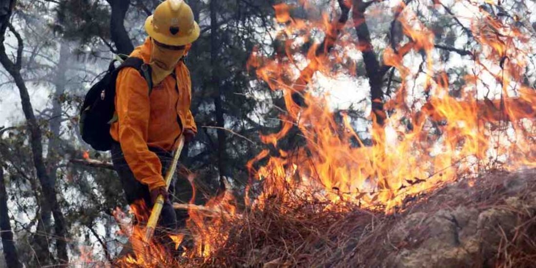 Conafor informó que hay 14 incendios forestales activos en México