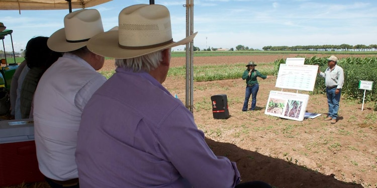 Víctor Villalobos indicó que la Secretaría de Agricultura y Desarrollo Rural ha sido un aliado para el campo de Sonora.