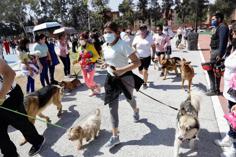 Maratón canino en Coyoacán
