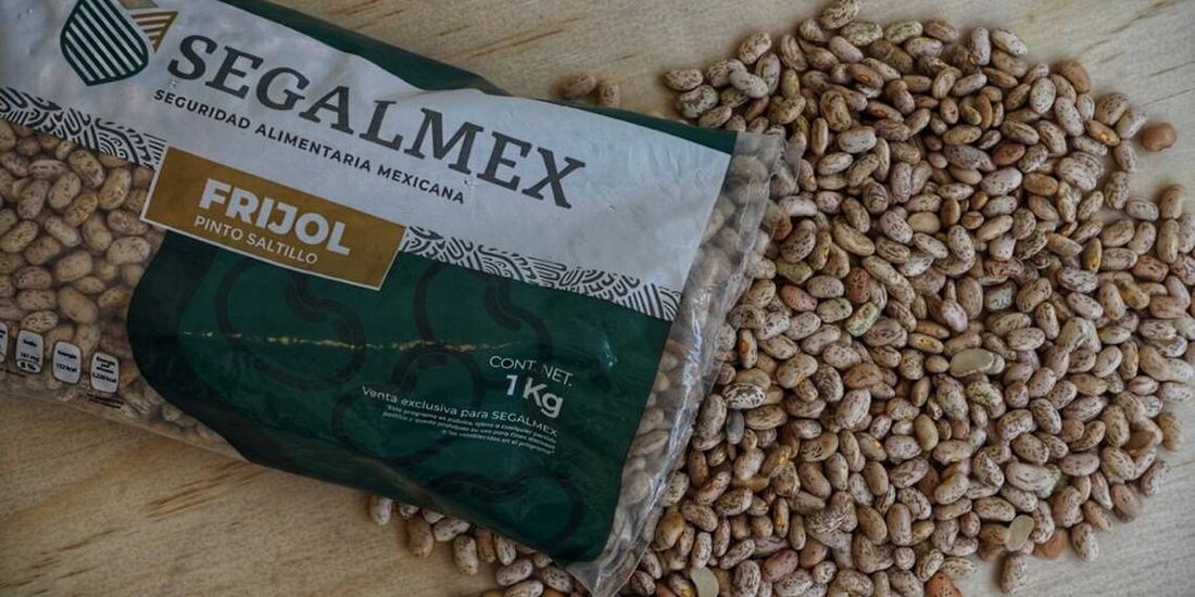 Segalmex, depende de la Secreataría de Agricultura.