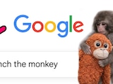Esto pasa en Google si buscas ‘Punch the monkey’