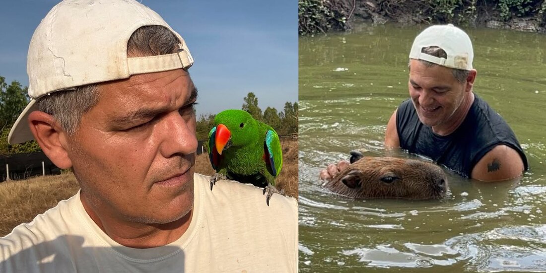 El youtuber Frank Cuesta debe pagar 17 mil pesos por posesión ilegal de animales