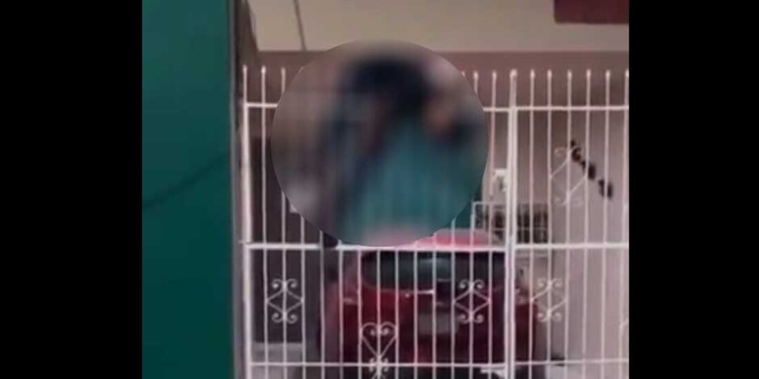 Supuesto ladrón termina encajado en la reja de la casa que intentó robar