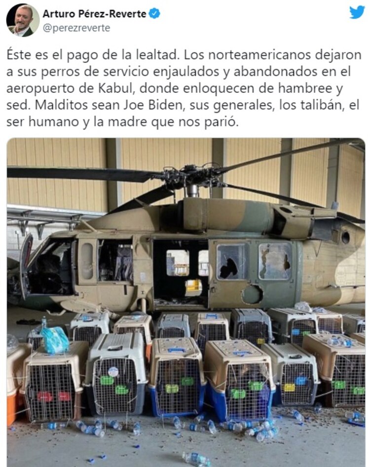 El periodista estalló contra el ejército de Estados Unidos, Joe Biden y la mamá de cada ser humano al denunciar abandono de perros