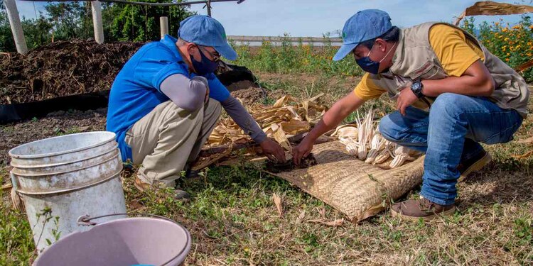 "Queremos que las y los jóvenes que habitan en los territorios rurales encuentren en las actividades agropecuarias y forestales una opción de futuro", dijo el titular de Agricultura.