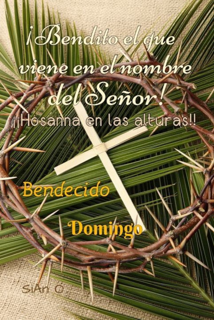 Imágenes para desear feliz Domingo de Ramos