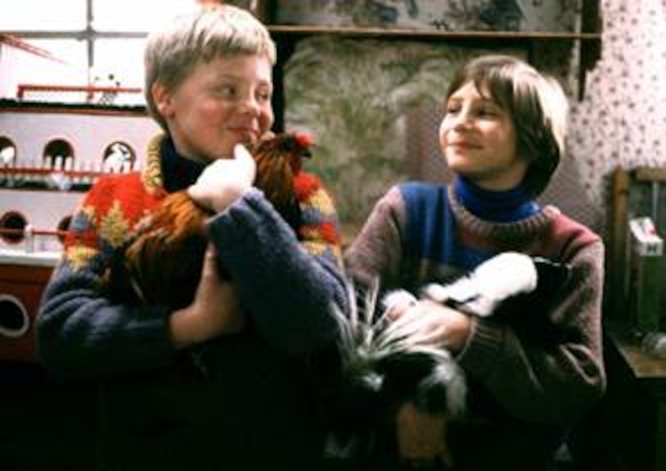 27° Festival Internacional de Cine para Niños (…y no tan niños)