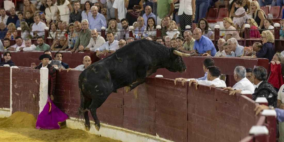 Un toro saltó hasta las gradas en la Feria Taurina de Murcia.