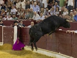 Un toro saltó hasta las gradas en la Feria Taurina de Murcia.