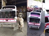 Un hombre crea el "perrobus" para pasear a sus perritos