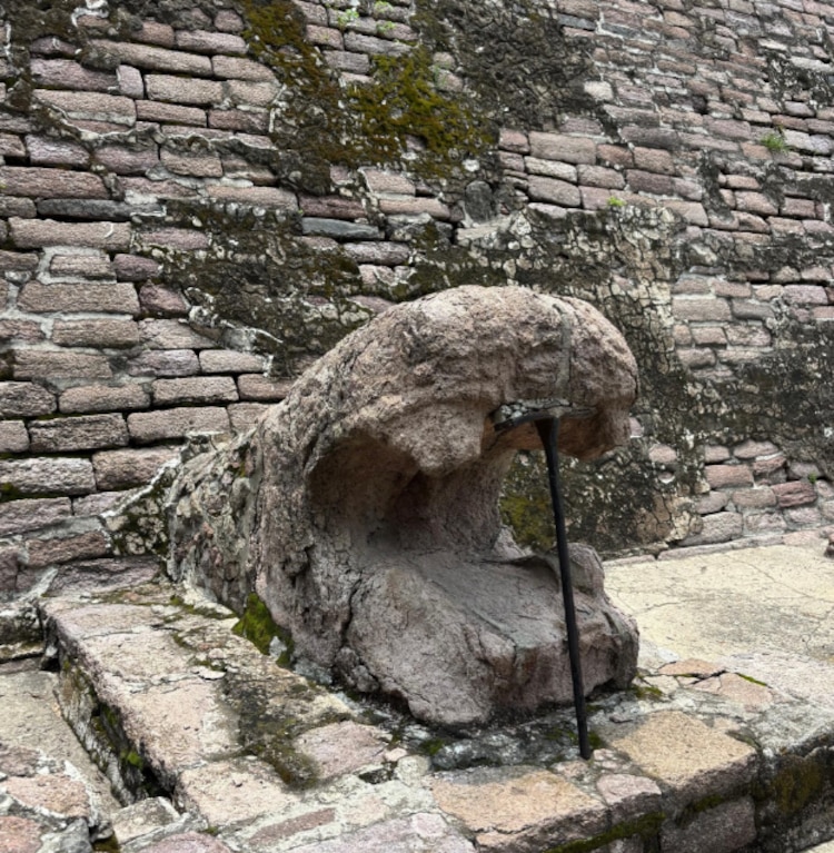 Serpientes con piezas faltantes o con soportes.