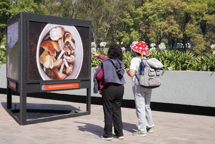 Dos mujeres observan una imagen de la muestra fotográfica en el lugar.