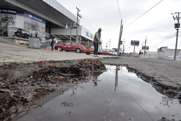 Bache en Edomex.