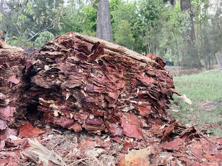 Recibe tratamiento biológico.