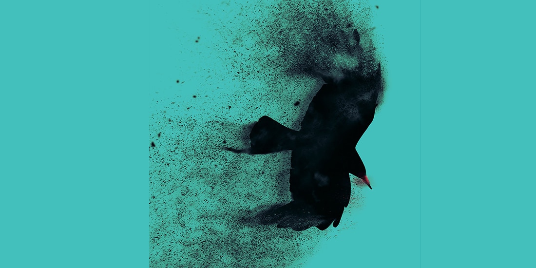 Ilustración de la portada del libro.