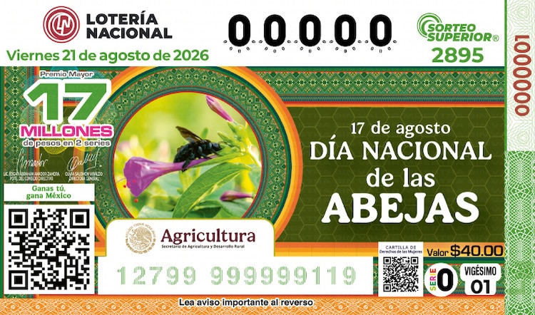 El billete del Sorteo Superior 2895 está dedicado al Día Nacional de las Abejas.