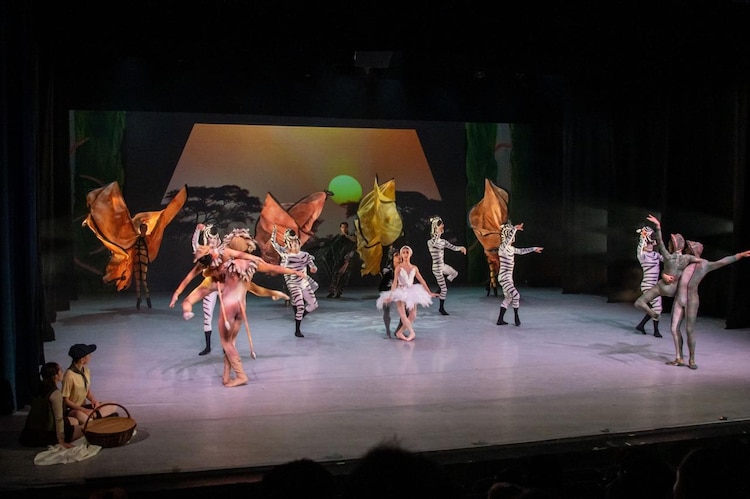 Carnaval de los animales. El canto de los cisnes.