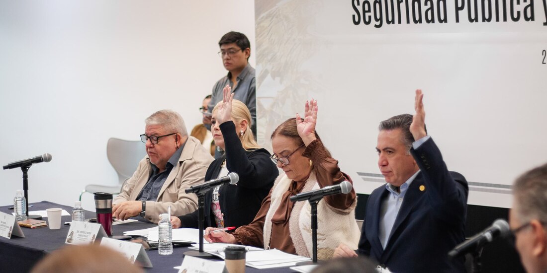 Las Comisiones Unidas de Seguridad Pública y de Estudios Legislativos del Senado discutieron los dictámenes este sábado.