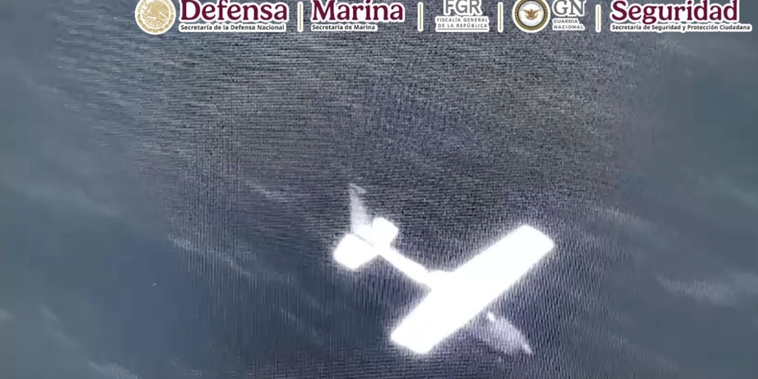 Imagen difundida por autoridades federales.