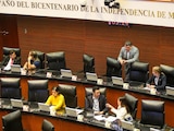 Sesión en el pleno del Senado de la República, ayer.