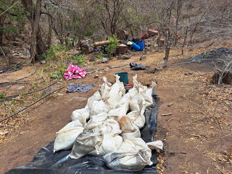 Parte de los presuntos narcóticos recuperados en el operativo.