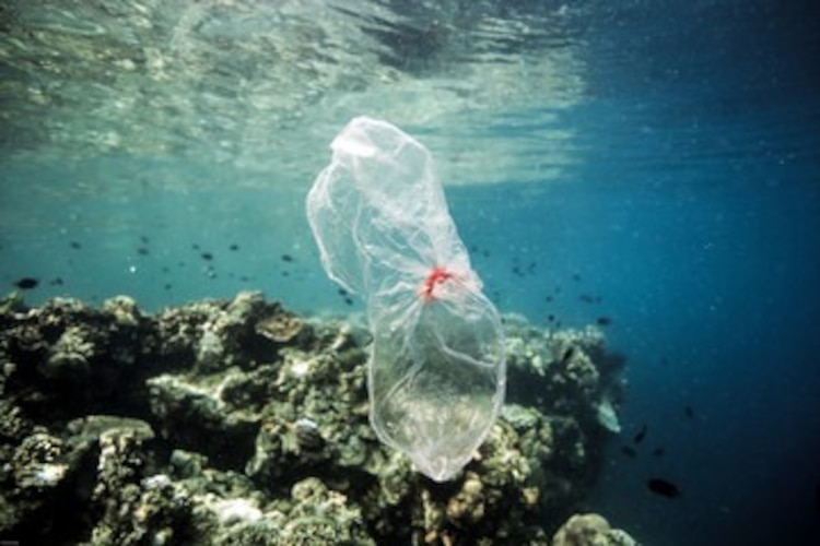 Cada año se utilizan 5 billones de bolsas de plástico a nivel mundial.