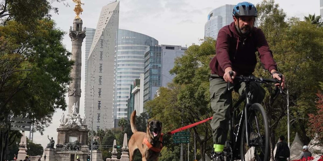 Día del Padre: ¿Cuáles son los mejores eventos en la CDMX del 14 al 16 de junio?